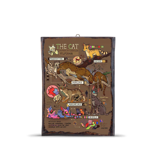 CAT EVOLUTION WOODEN FRAME - WF058 - Apnoia