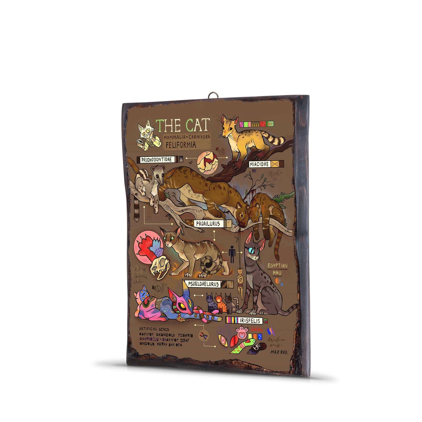 CAT EVOLUTION WOODEN FRAME - WF058 - Apnoia