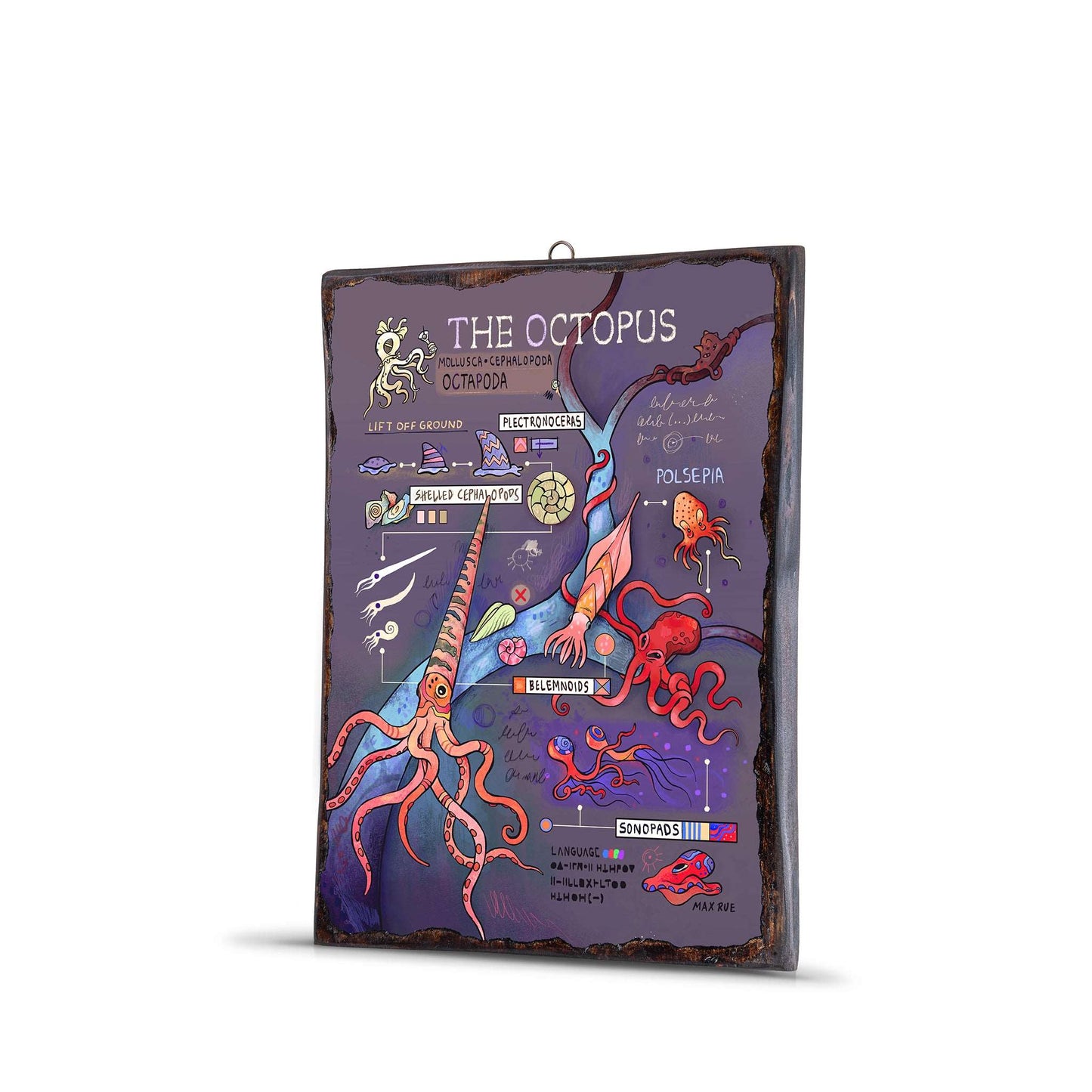 OCTOPUS EVOLUTION WOODEN FRAME - WF060 - Apnoia