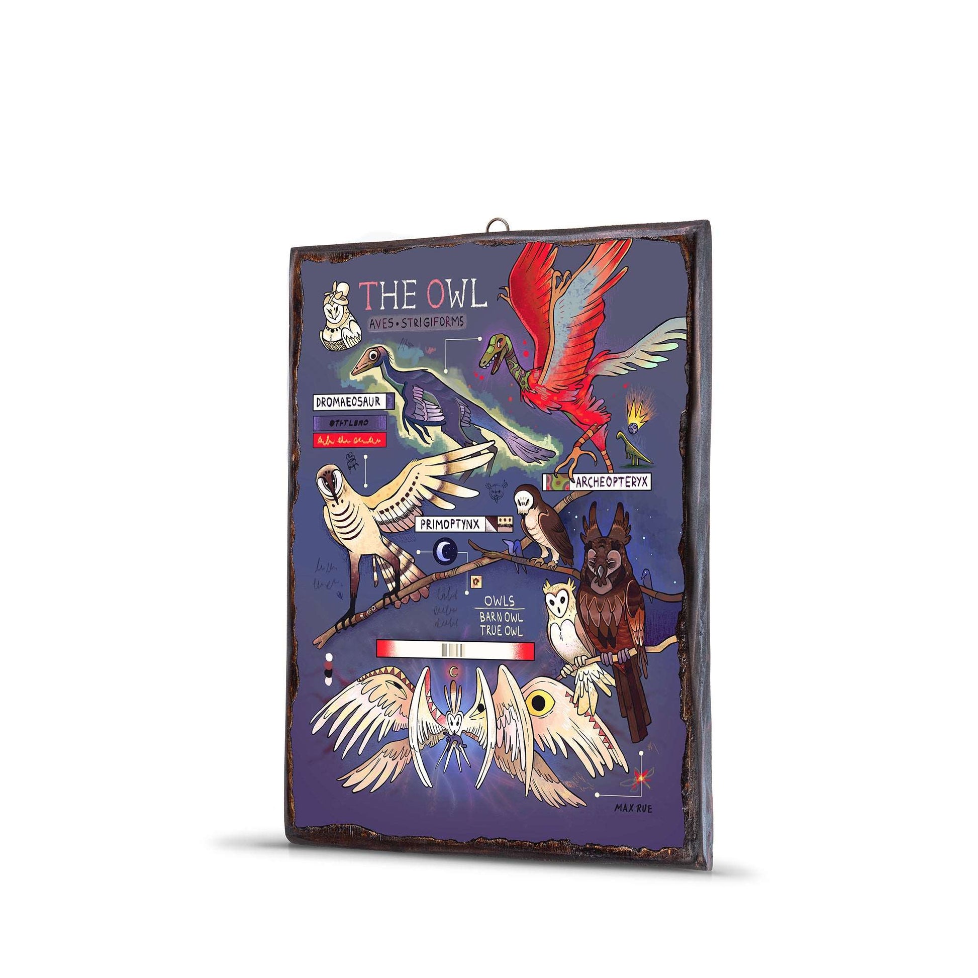 OWL EVOLUTION WOODEN FRAME - WF061 - Apnoia