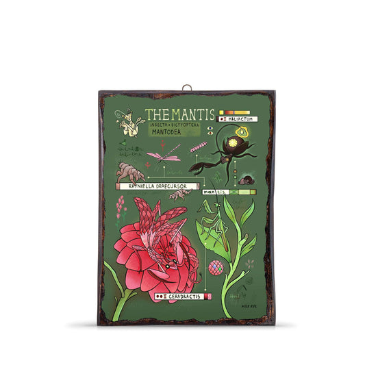 MANTIS EVOLUTION WOODEN FRAME - WF065 - Apnoia