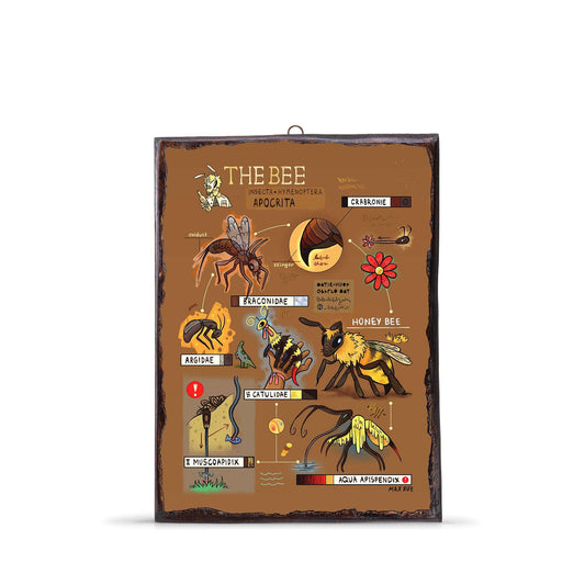 BEE EVOLUTION WOODEN FRAME - WF066 - Apnoia