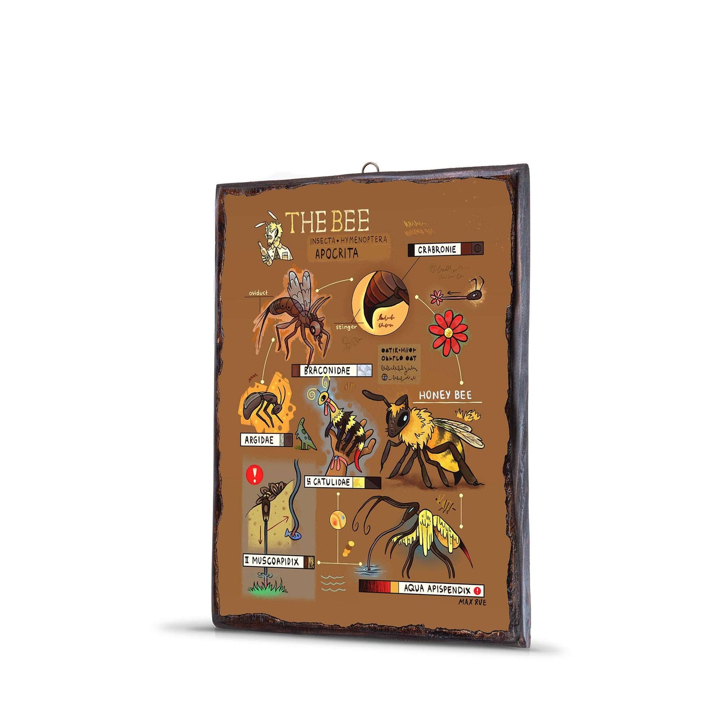 BEE EVOLUTION WOODEN FRAME - WF066 - Apnoia