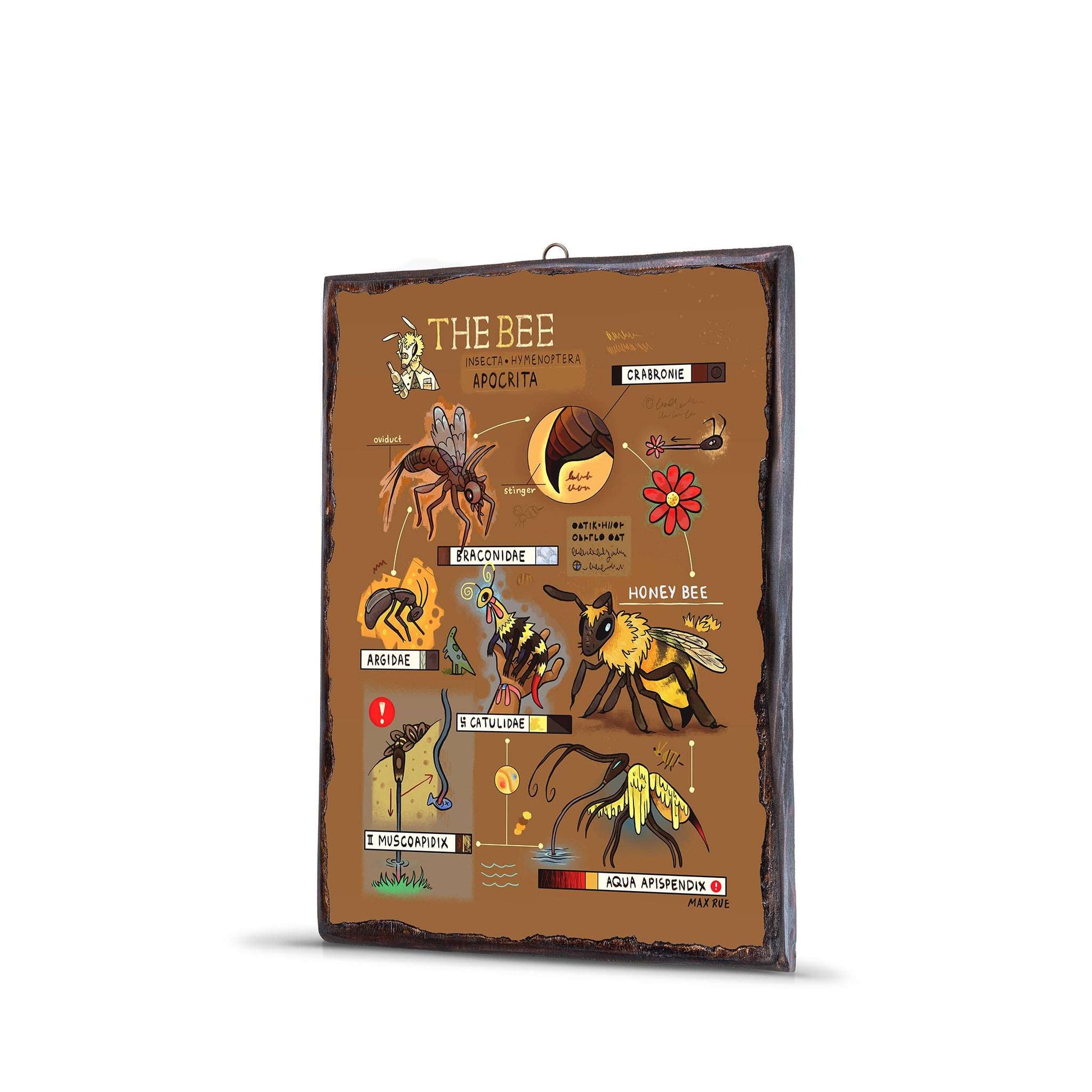 BEE EVOLUTION WOODEN FRAME - WF066 - Apnoia
