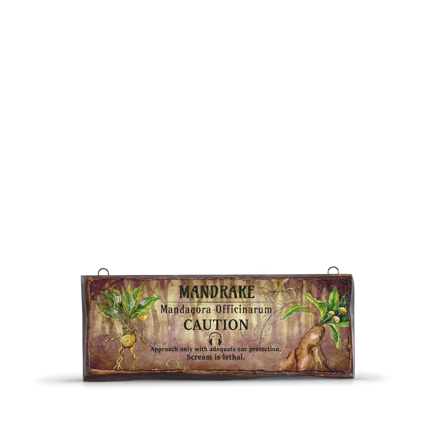 MANDRAKE WOODEN SIGN-WS002 - Apnoia