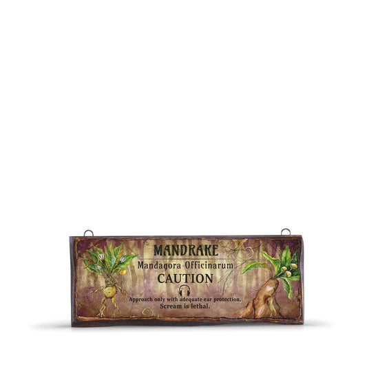 MANDRAKE WOODEN SIGN-WS002 - Apnoia