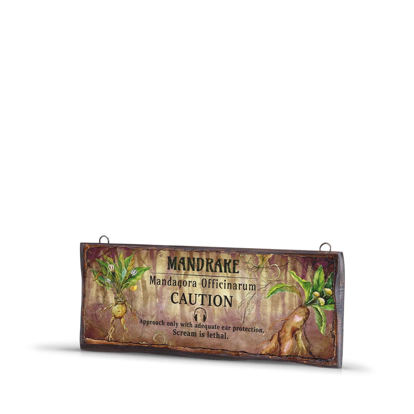 MANDRAKE WOODEN SIGN-WS002 - Apnoia