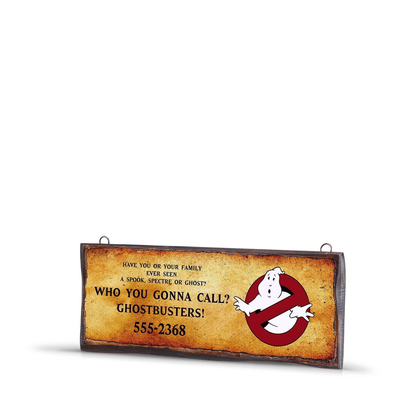 WHO YOU GONNA CALL ? – WSS018