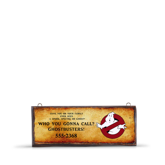 WHO YOU GONNA CALL ? – WSS018